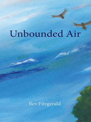 cover image of Unbounded Air